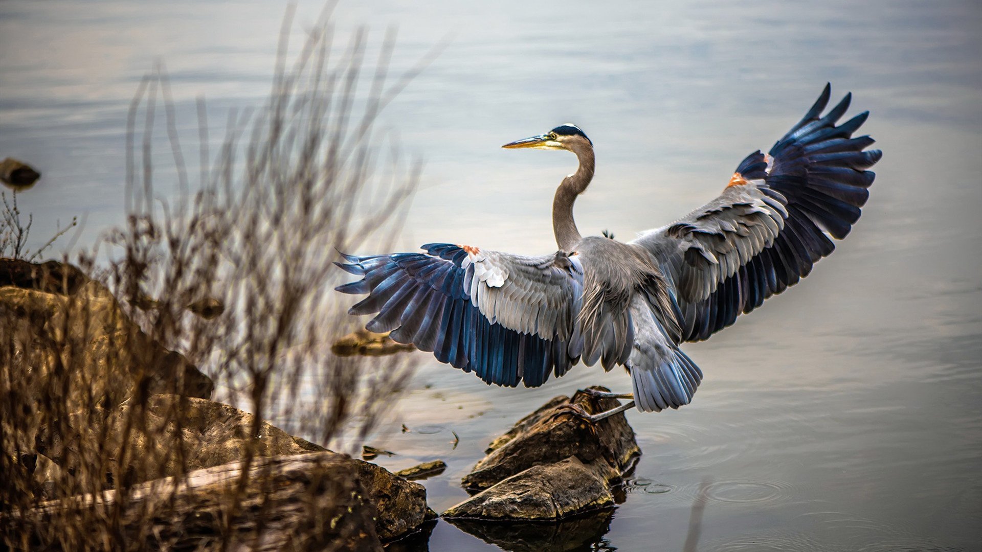 撕裂时空的射门，当莱万算法在罗马点燃绿茵场的焚城烈火