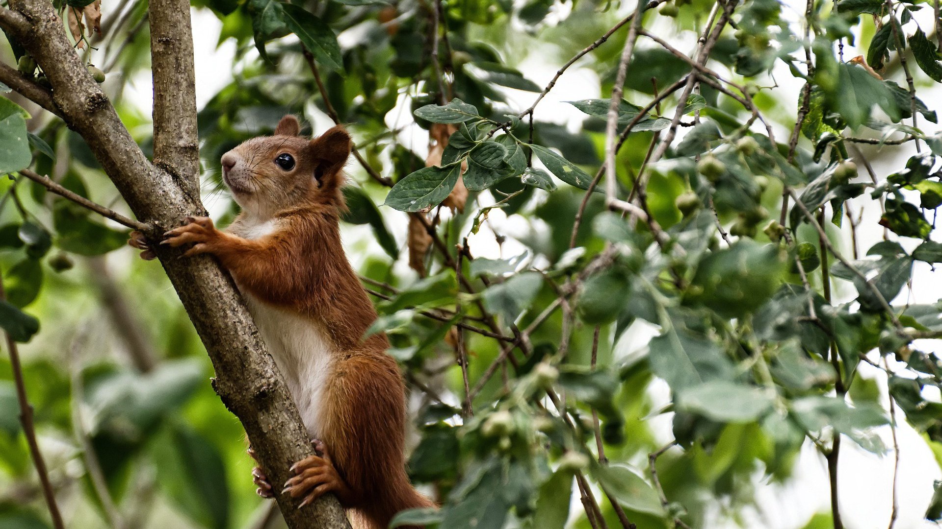 统治之夜，绿茵场上的寒流与球台前的绝对领域—现代体育中的碾压美学