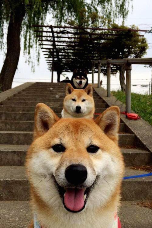 从冰到火，美网惊天逆转，兹维列夫如何用伤痛重铸统治力？