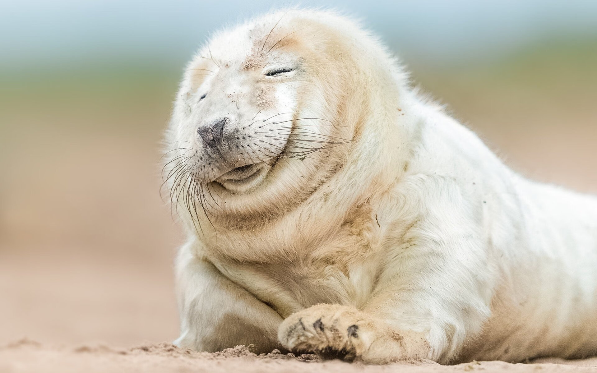 绿茵场与乒乓台的双重奏，波兰的钢铁防线与樊振东的纪录之夜