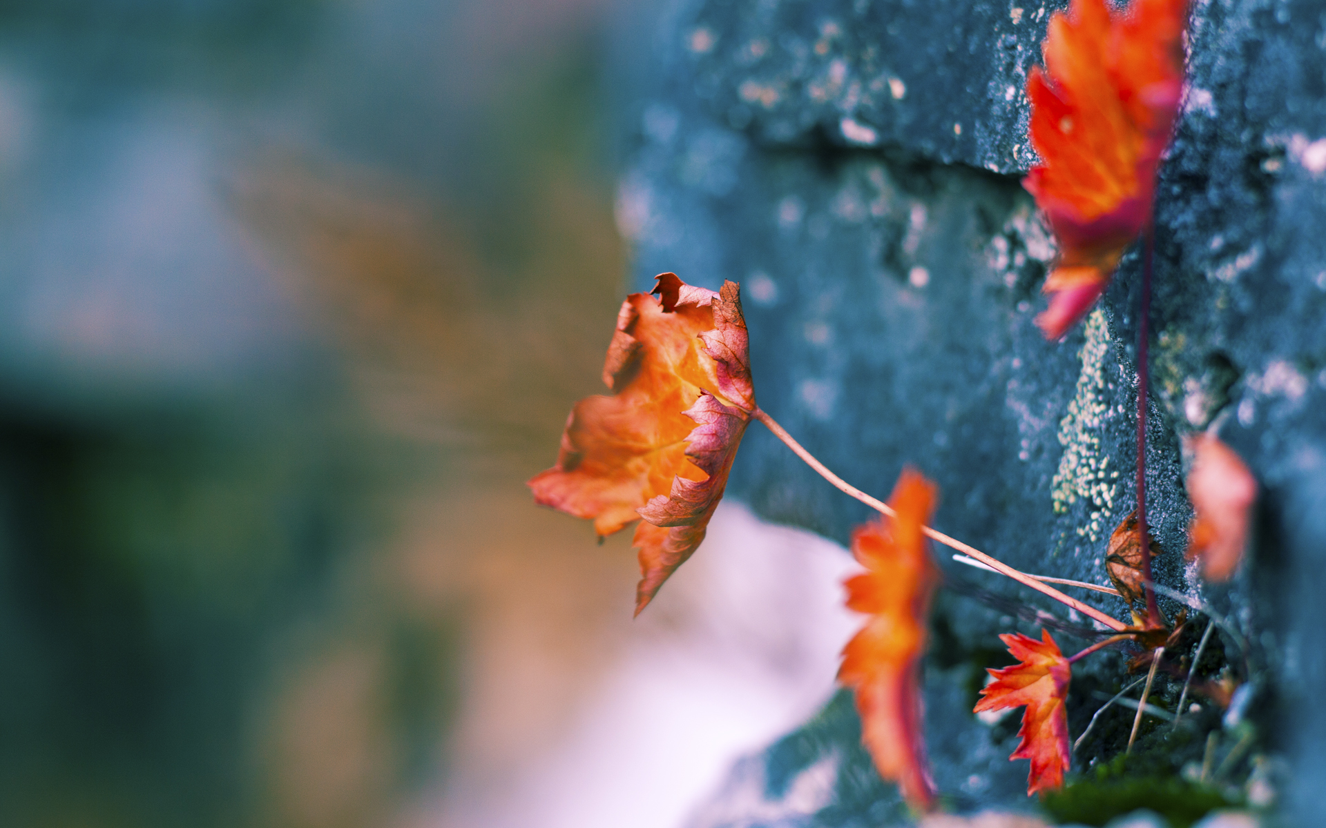 大场面先生奥利维耶独中两元，英格兰补时绝杀上演莱比锡红牛式逆转惊险晋级