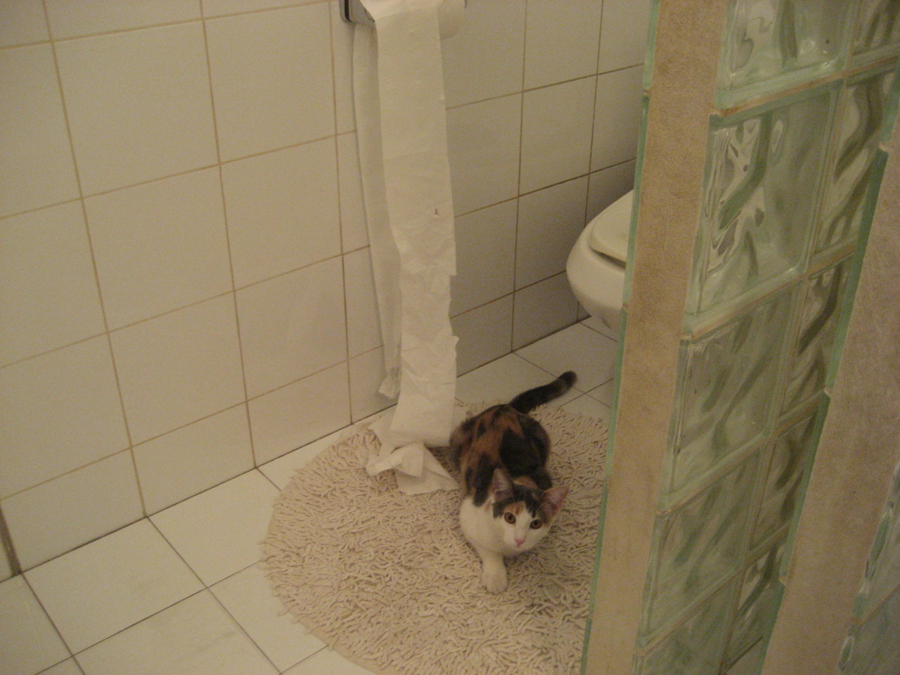 季后赛抢七战，马里爆冷击败洪都拉斯，创造奇迹