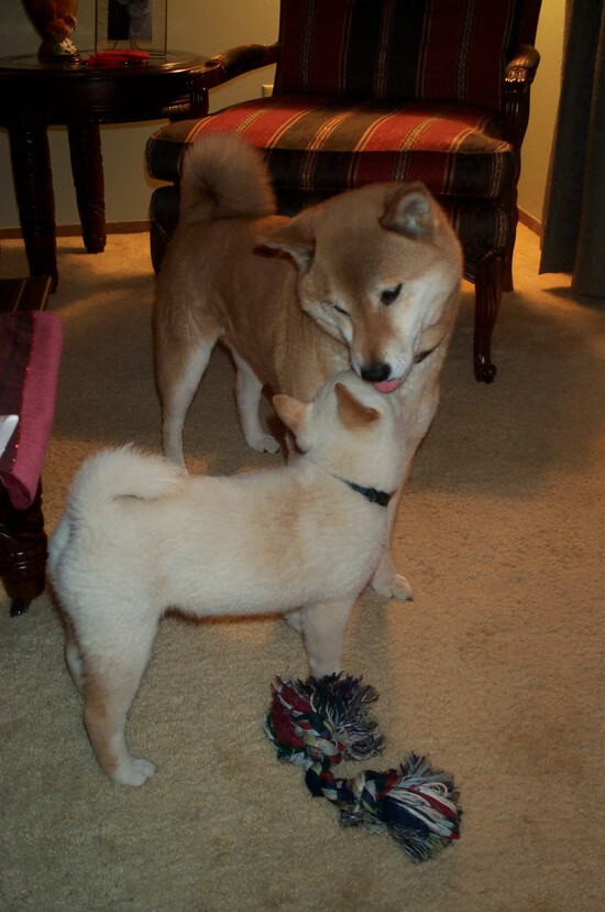 爱游戏娱乐-终局之王，当福登的魔法点燃西甲国家德比之夜