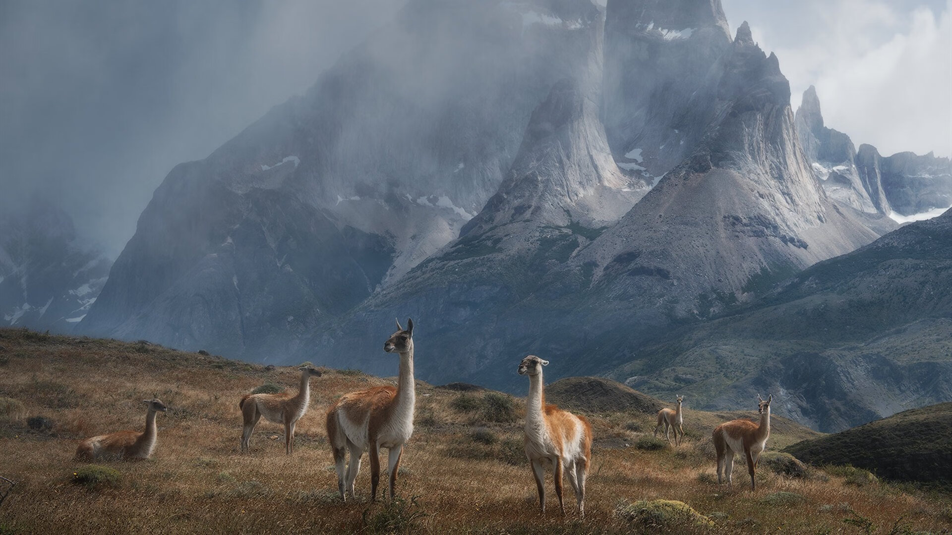 胜利的双重奏，当哈弗茨的灵光一现照亮乌克兰的纪律之路