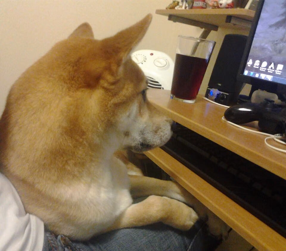 狼群觉醒，贝恩的脉搏，森林狼的胜利交响乐