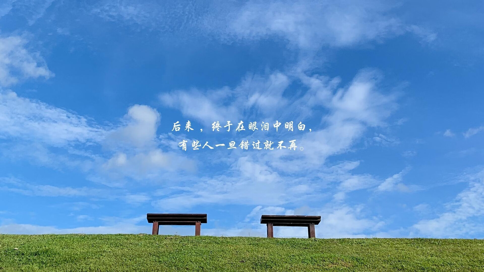 库里天神下凡难救主，黄蜂用绝对篮球诠释团队力量