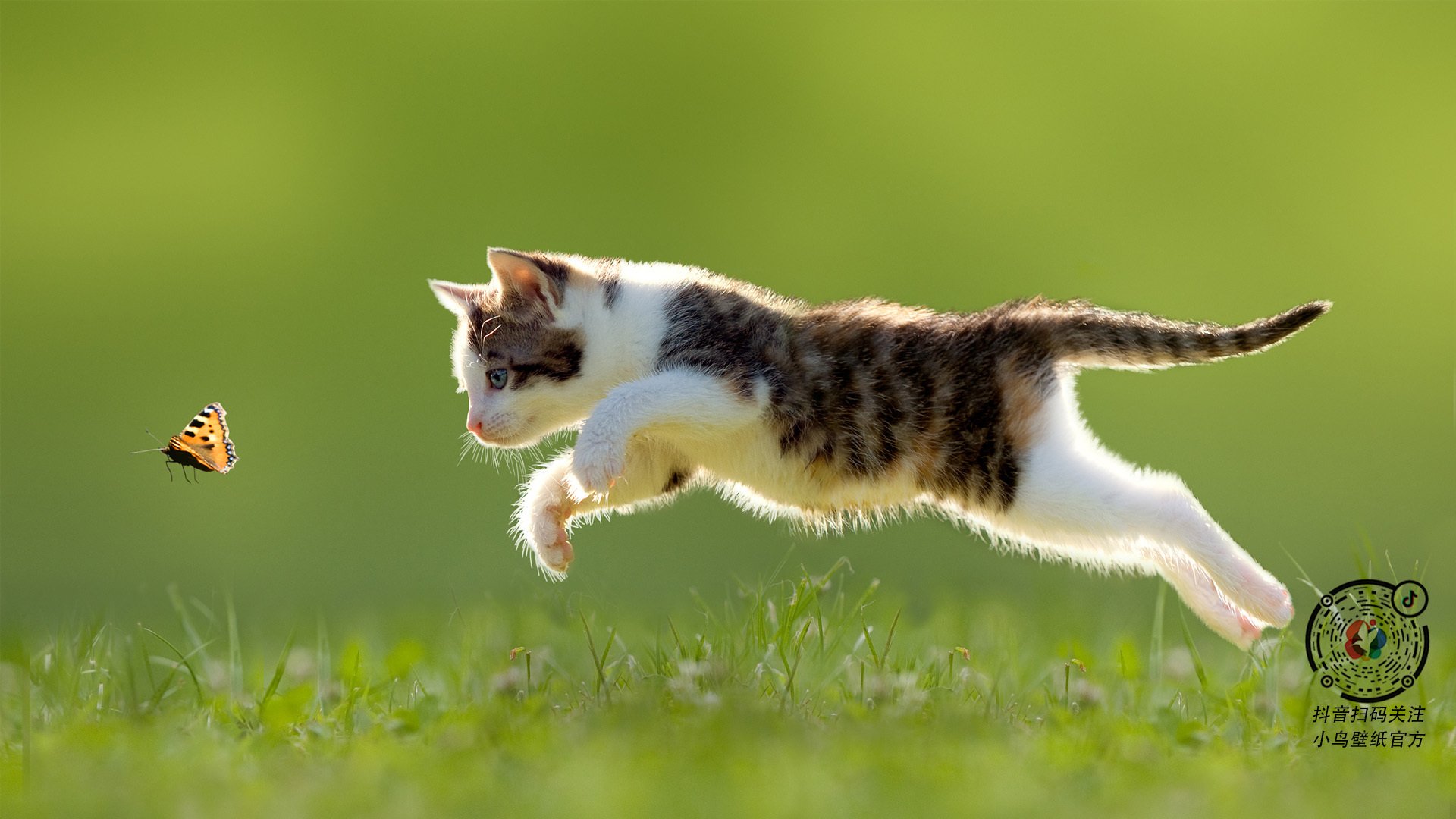 爱游戏-东决烽火淬真金，那一夜，卡拉斯科如何刺穿波士顿的钢铁防线？