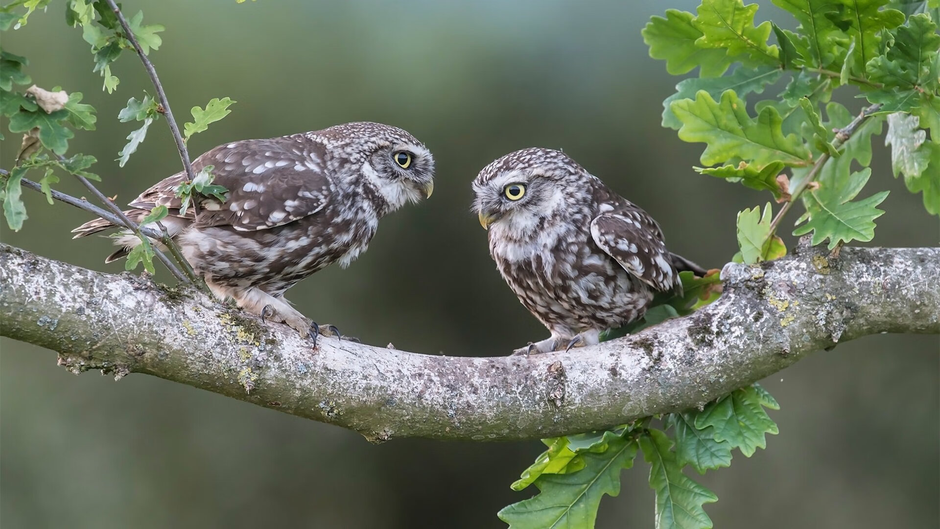 爱游戏APP-反锁更衣室的门，凌晨四点维尼修斯在写什么