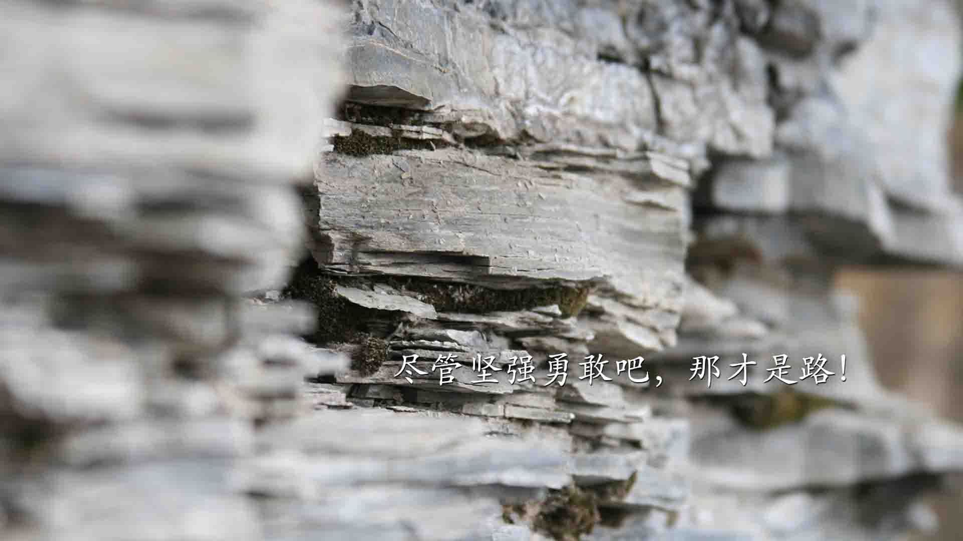 压哨绝杀刺破星条旗,佩德里封神之夜,葡萄牙以最残酷的方式赢得世界杯揭幕战